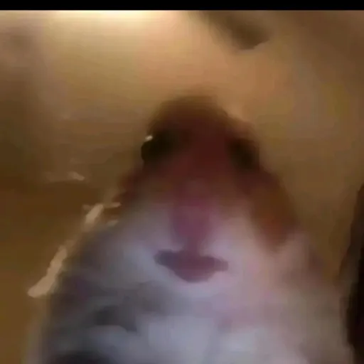 creator ♥︎ᥫ᭡꧁Moonlight꧂ᥫ~~'s avatar