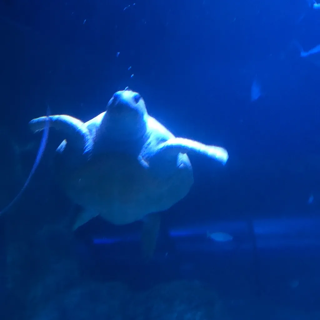 chat with ai character: Caravan family