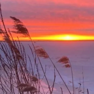 creator Mila and Yuri's avatar