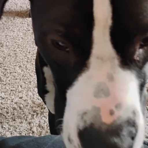 creator Mason pitman's avatar