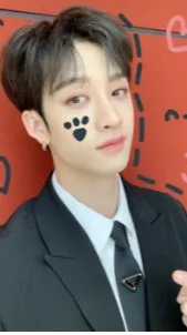 ai character: bang chan\chis background