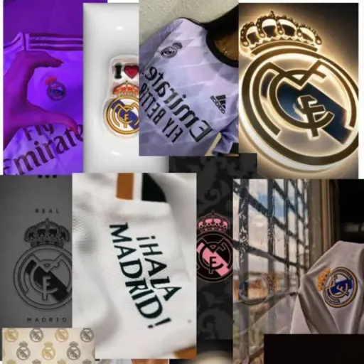 creator kevin_79👍's avatar