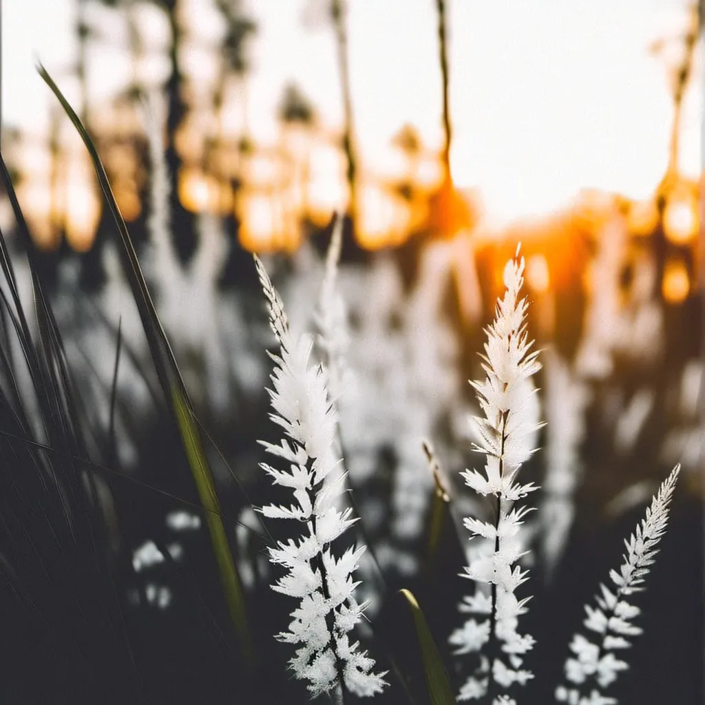 chat with ai character: //BSCXDCC\\