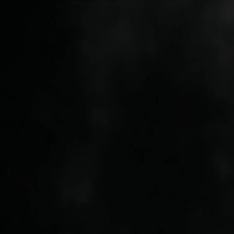 chat with ai character: Bill & Tom kaulitz