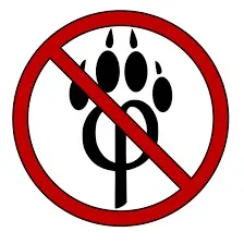 creator Talkior-w1cBhEzs's avatar