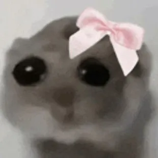 creator cute hamsters's avatar
