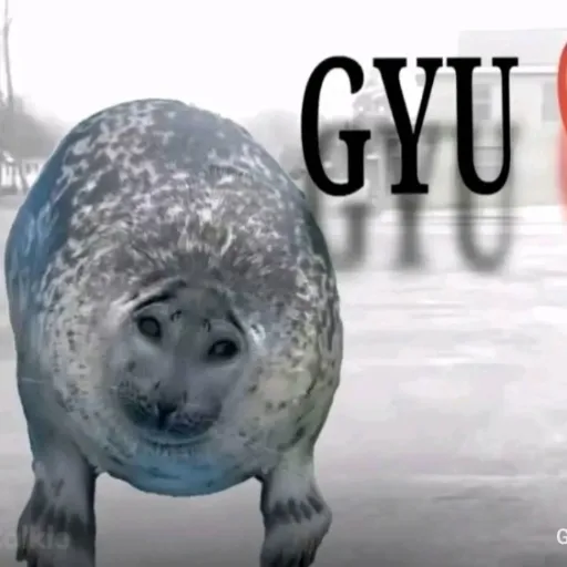 creator 𝚄𝚗𝚊 𝚛𝚊𝚛𝚒𝚝𝚊 ×𝟹's avatar