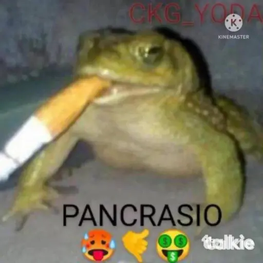 creator pajascracio's avatar