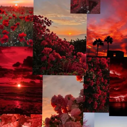 creator kai_duck's avatar