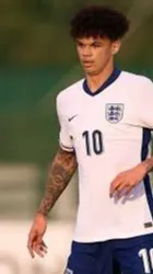 ai character: nico oreilly background