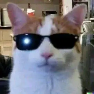 creator Pro Cat's avatar