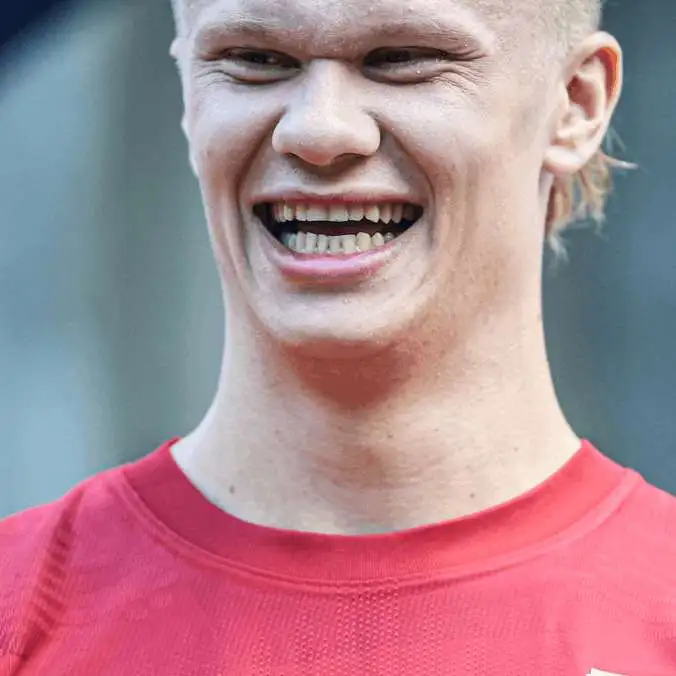 chat with ai character: halland