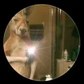 talkie's author avatar