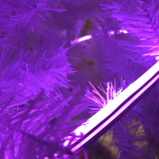 creator Hot-dog's avatar