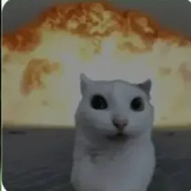 creator !snowy!'s avatar