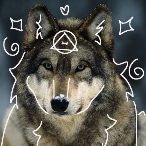 creator JupiterWolf(/-\)🪐's avatar