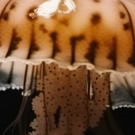 chat with ai character: haunted house