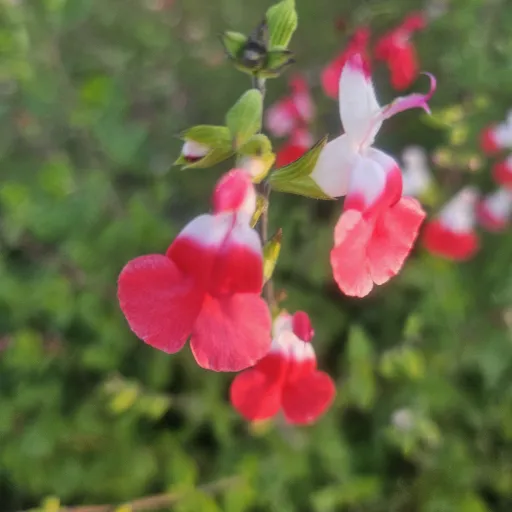 creator Talkior-gW5pYLPr's avatar