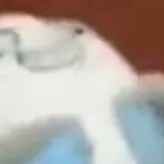 chat with ai character: egg sans