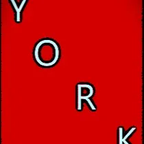 chat with ai character: YORK©