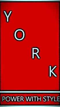 ai character: YORK© background