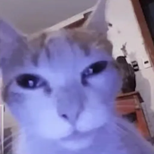 creator GHOST N's avatar