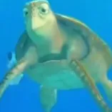 chat with ai character: TalkingTutleUSA P2