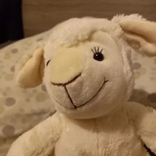 creator Talkior-28DTlN8K's avatar