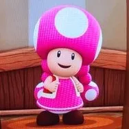 creator toadette-dvYFoAHI's avatar