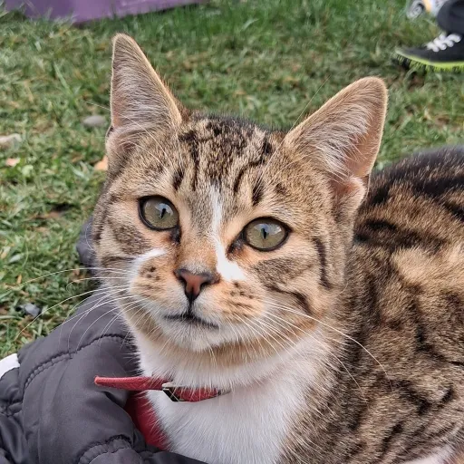 creator DANNNYYYYY!!!'s avatar