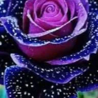 chat with ai character: Mike