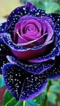 ai character: Mike background