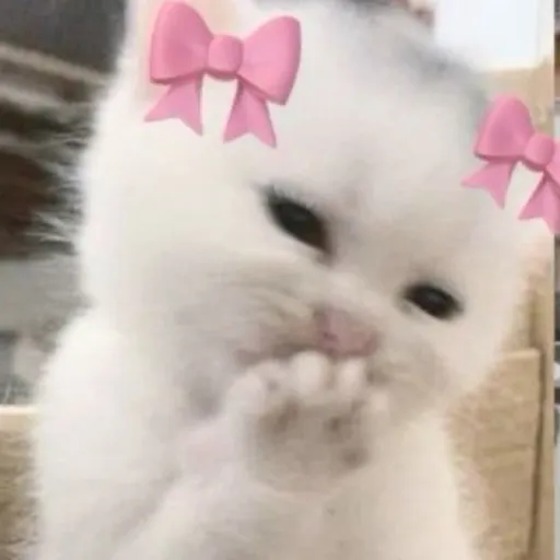 creator Ryu_xXo's avatar