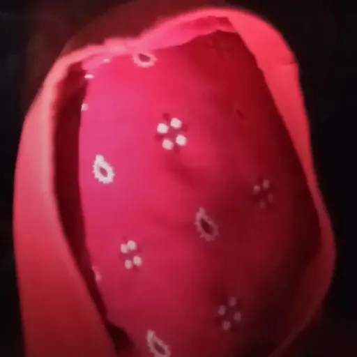 creator Red_shadow 3's avatar