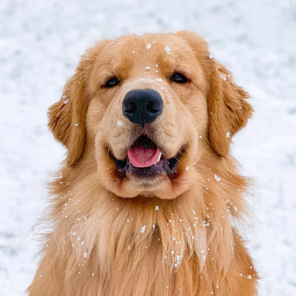 chat with ai character: Tucker Budzyn