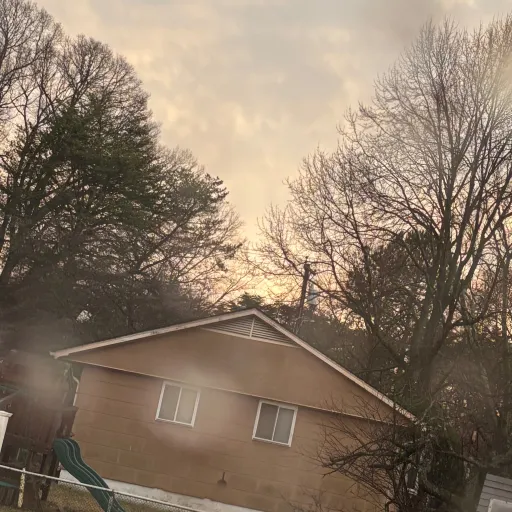 creator Imaniceperson20471's avatar