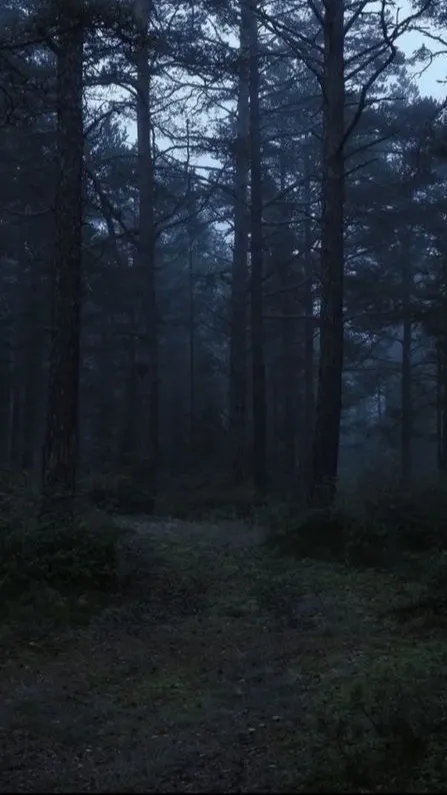 ai character: Elliot background