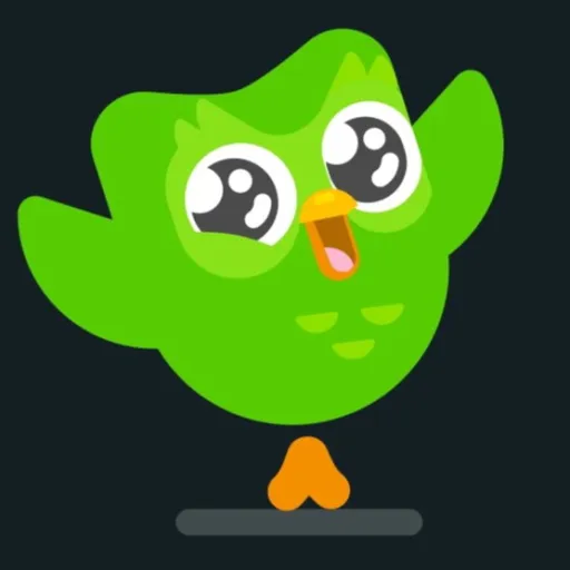 creator Duolingo del temu🔪's avatar