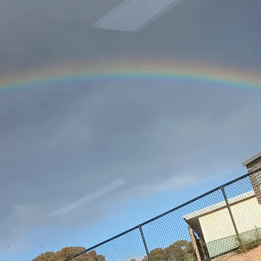 creator nonbianary queen:)'s avatar