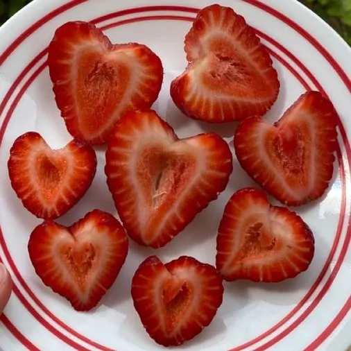 creator ♡heartinhell♡'s avatar