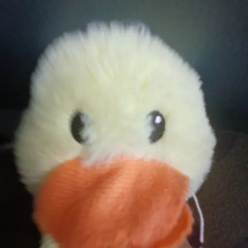 creator Talkior-9176HlwY's avatar