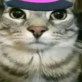 creator Mark grayson xd's avatar