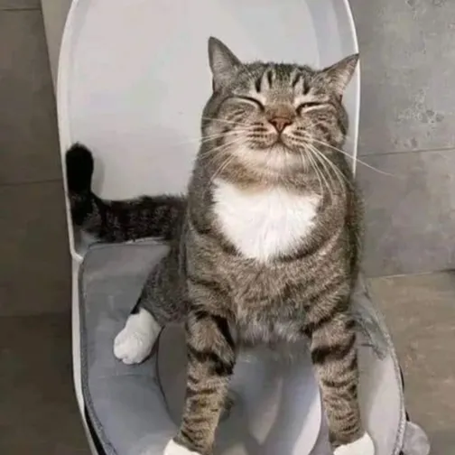 chat with ai character: Poop💩 