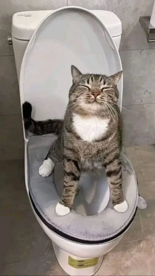 ai character: Poop💩  background