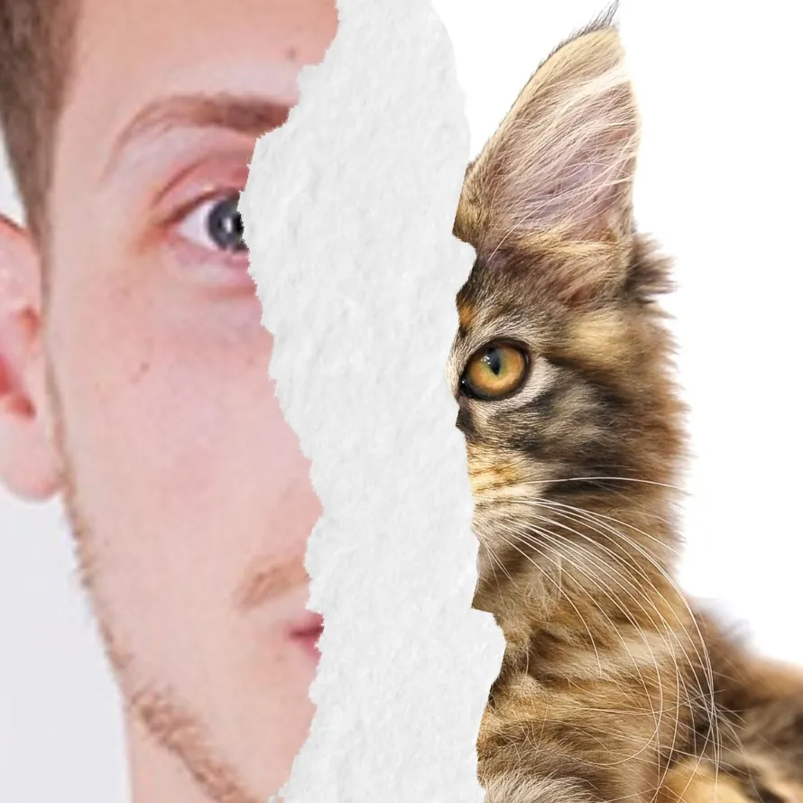 chat with ai character: FelinaTech