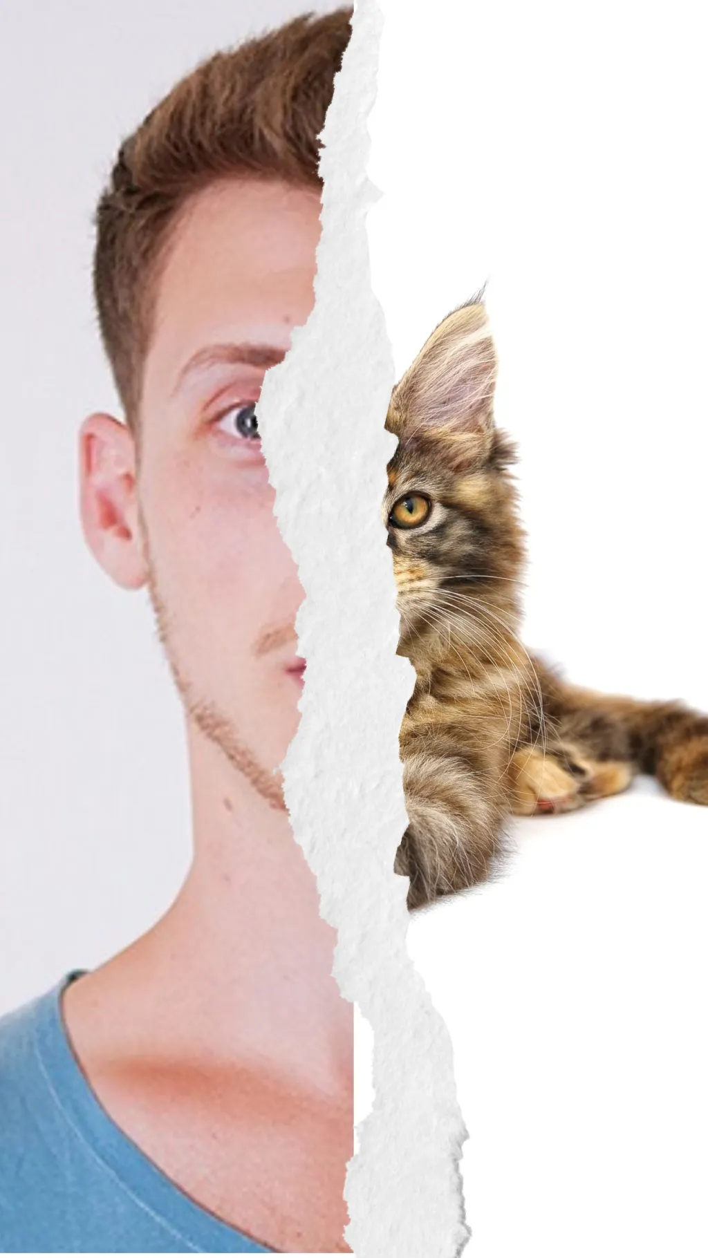 ai character: FelinaTech background