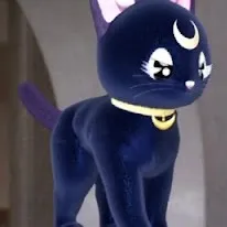 chat with ai character: Luna (PGSM)