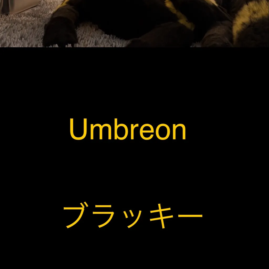 chat with ai character: Umbreon (PokéPark)