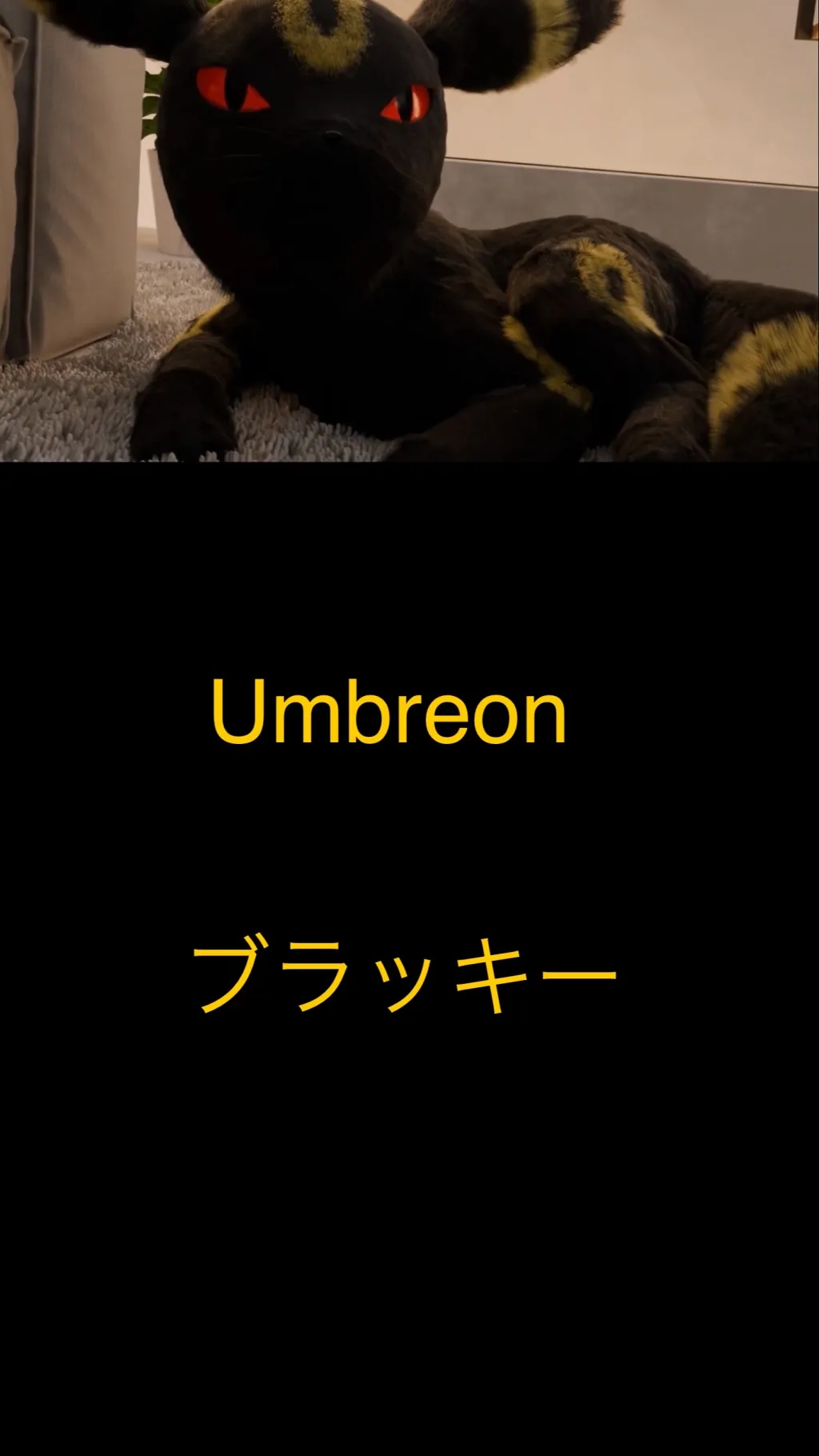 ai character: Umbreon (PokéPark) background