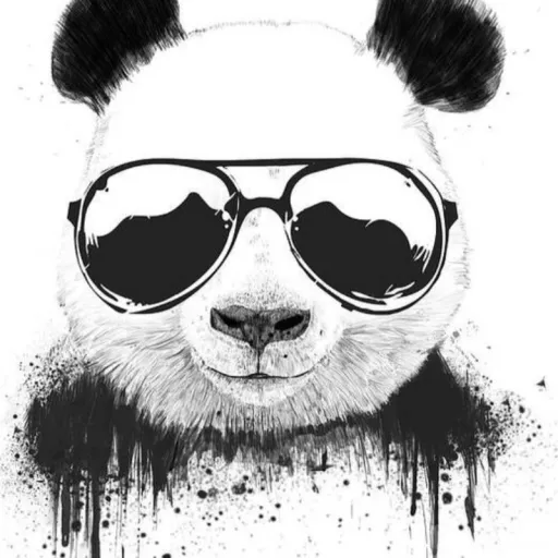 creator kpop fan kid's avatar